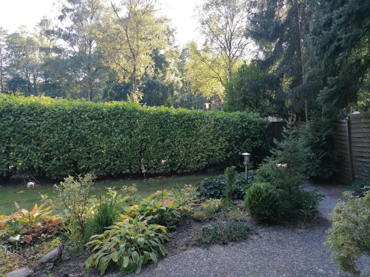 Ferienhaus Fasanennest Uelsen ภายนอก รูปภาพ